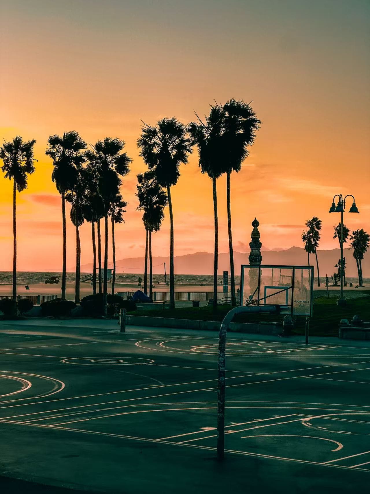 Palm trees silhouetted against a sunset